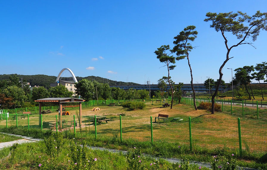 반려견놀이터 1