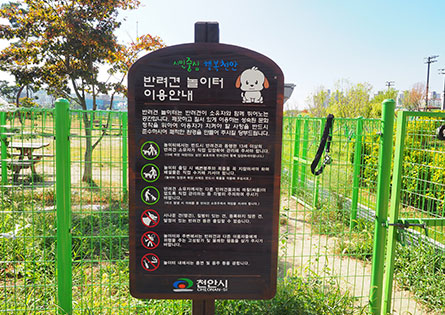 반려견놀이터 2