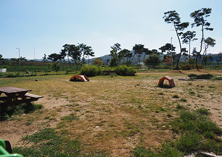 반려견놀이터 3